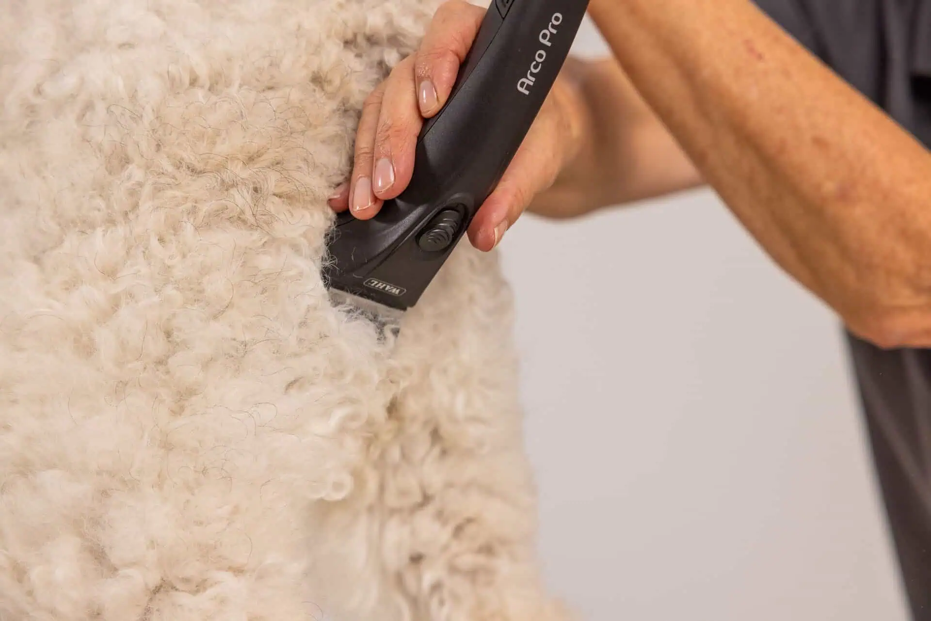 Excellent Performance