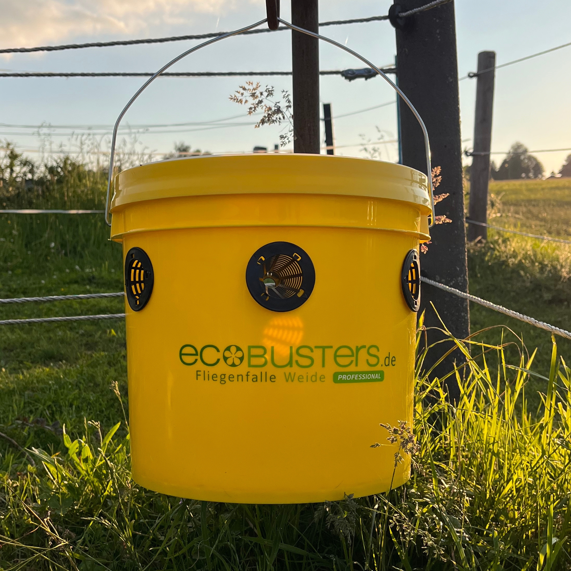 EcoBusters capcană pentru muște Weide inclusiv atractant