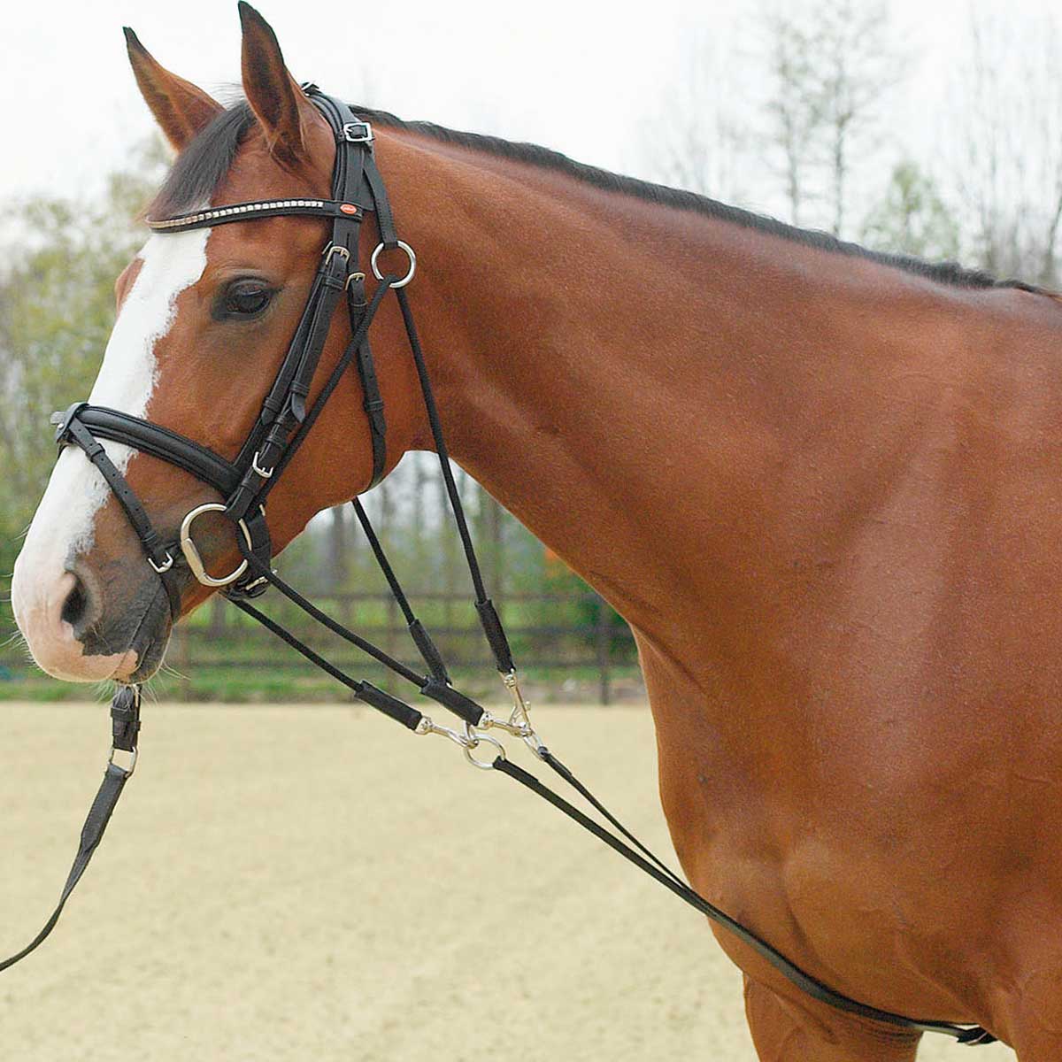 BUSSE frâu auxiliare Gogue BASIC BUSSE frâu auxiliare Gogue BASIC