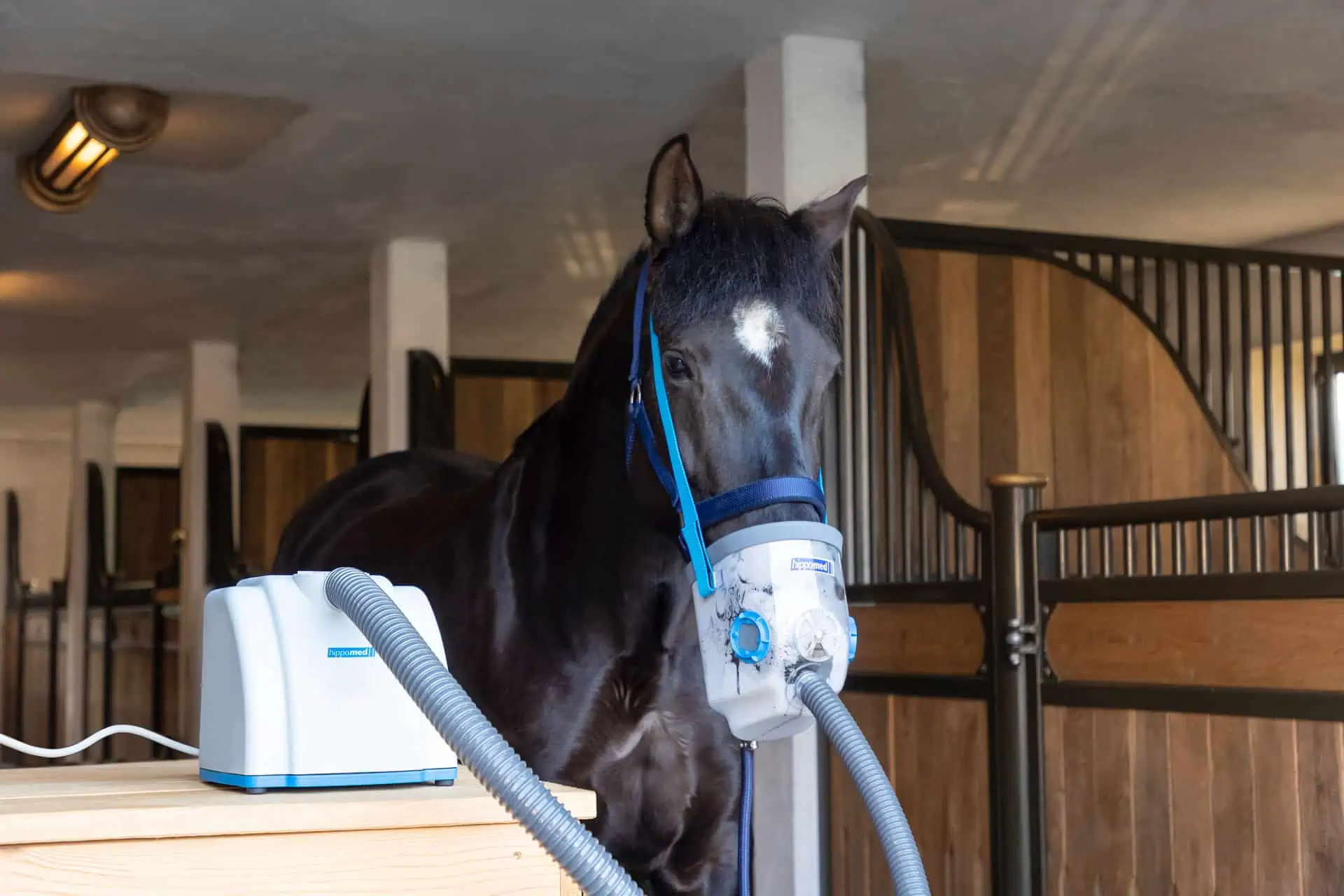 Inhalator cu ultrasunete Hippomed AirOne pentru cai fără mască