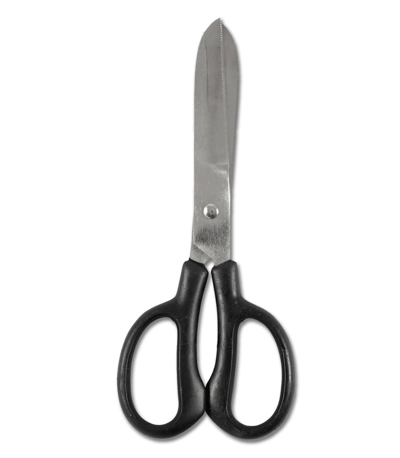 Fetlock Shears, bend 