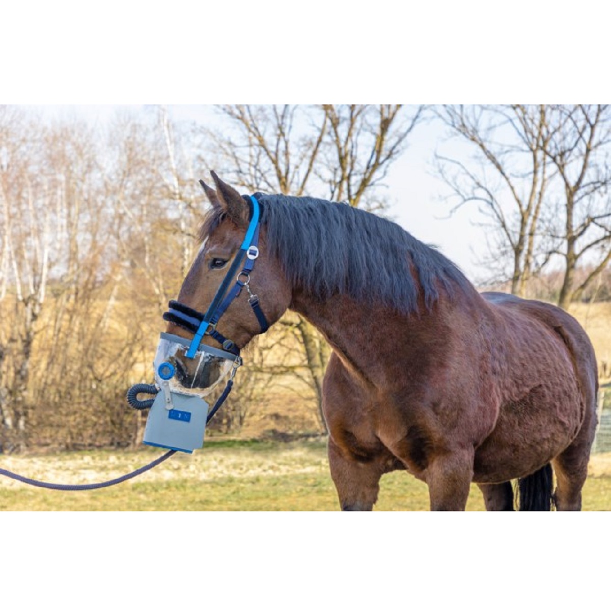 Hippomed inhalator cu ultrasunete Horse AirOne Flex, baterie, fără mască