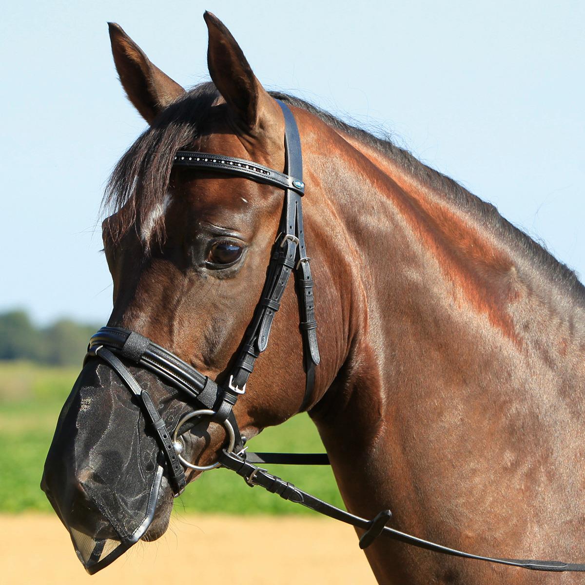 BUSSE protecție nazală pentru cai Fly Protector COB BUSSE protecție nazală pentru cai Fly Protector COB