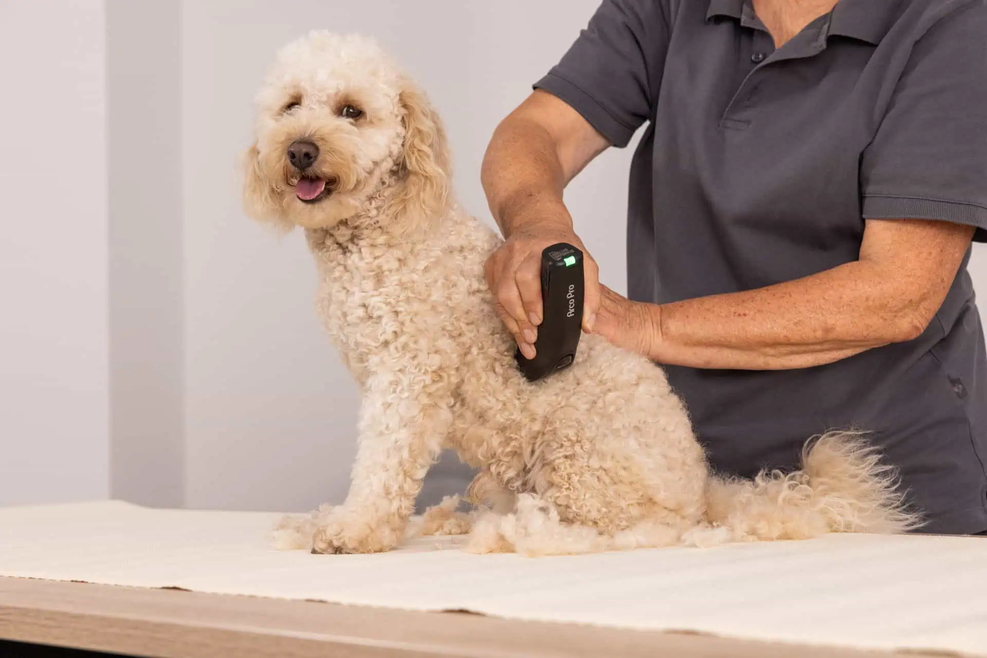 Efficient Grooming of Your Pet