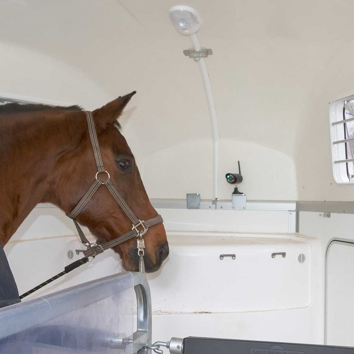 Kerbl SmartCam HD de monitorizare a cailor pentru grajduri și remorci
