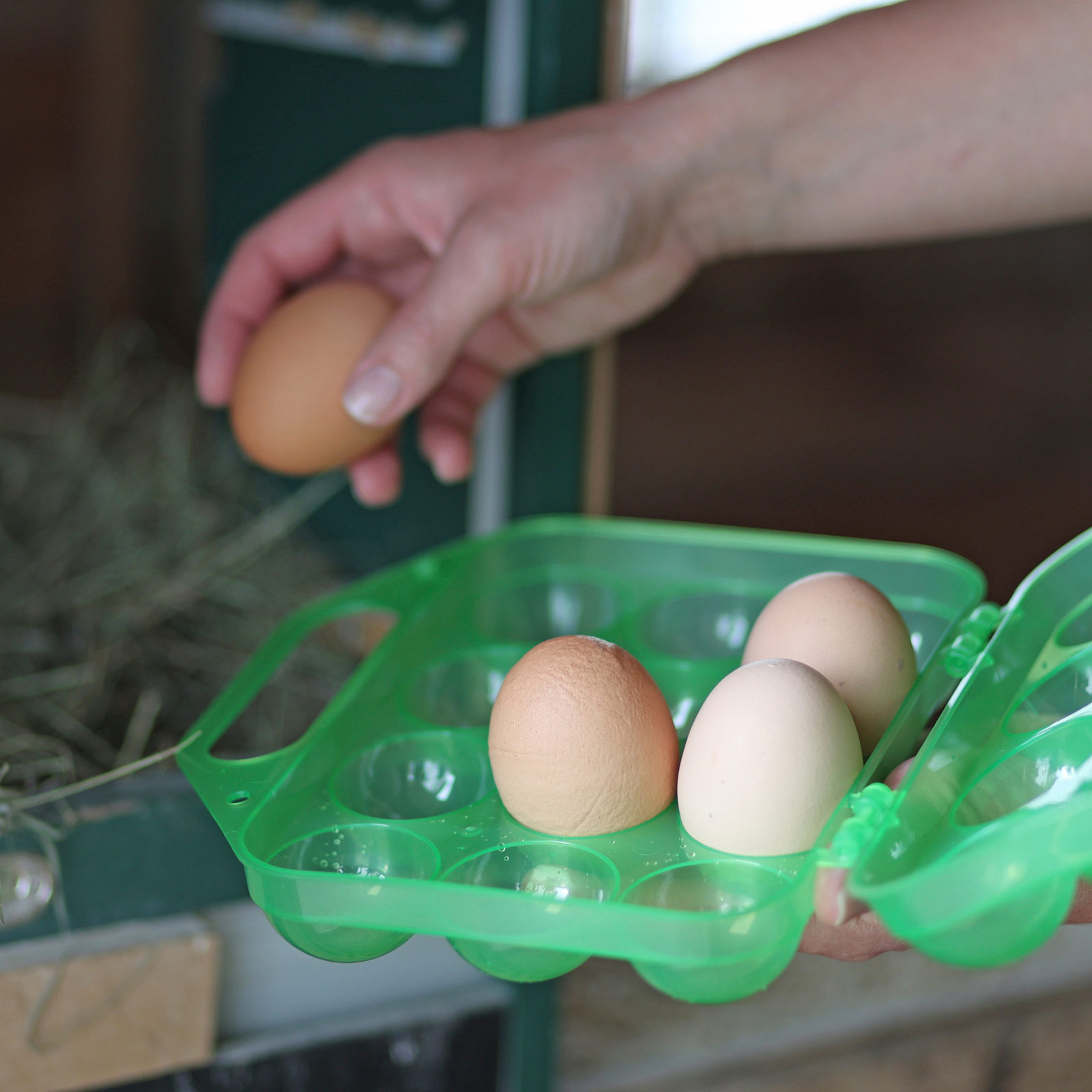 Cutie cofraj de transport ouă din plastic pentru 12 ouă