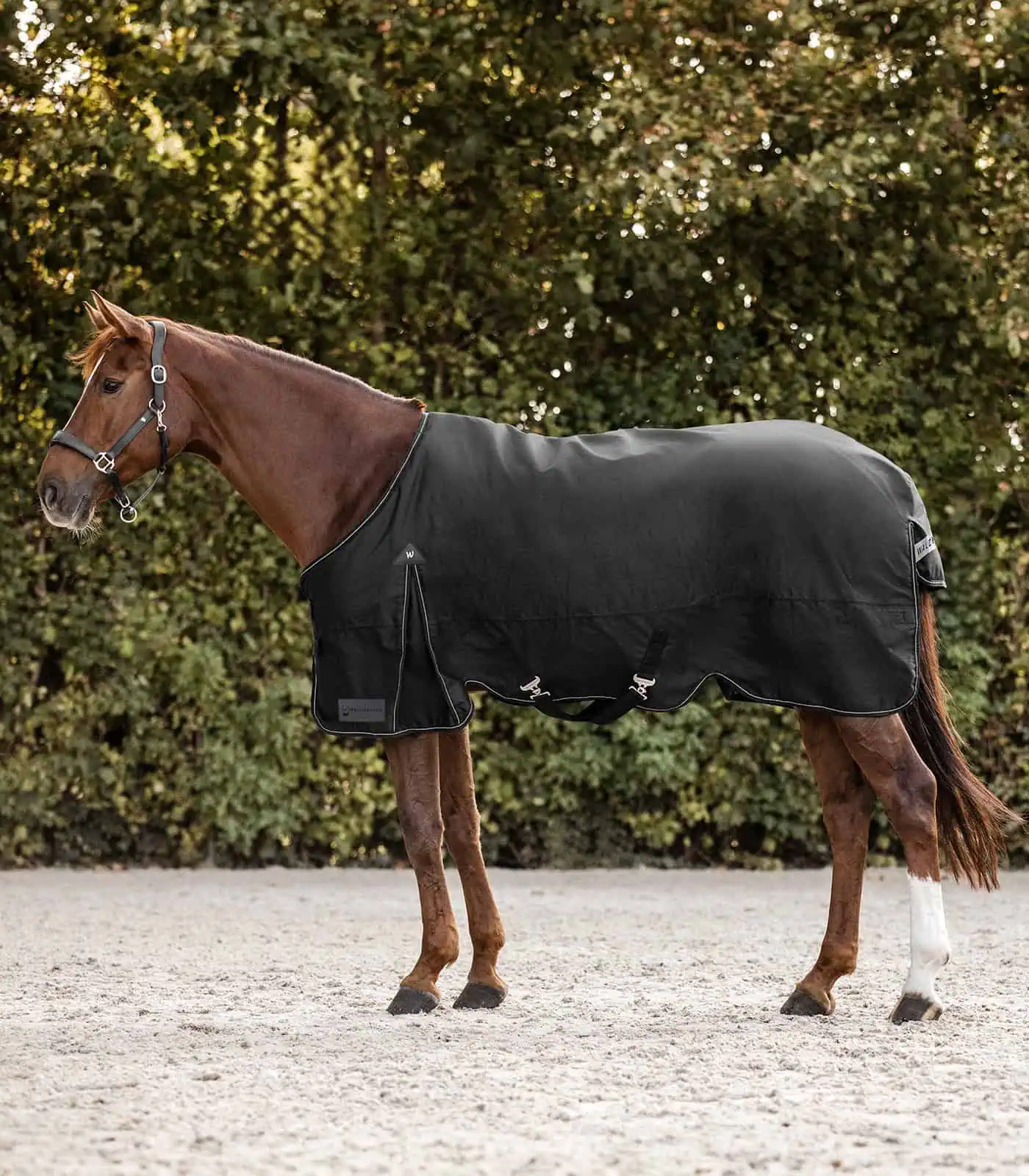 ARCTIC Turnout Rug, 300 g black 115