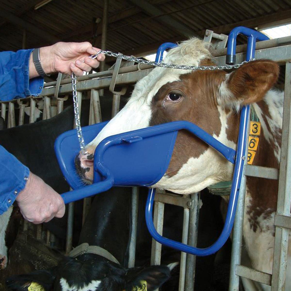 Tetiera suport de cap pentru vaci / bovine
