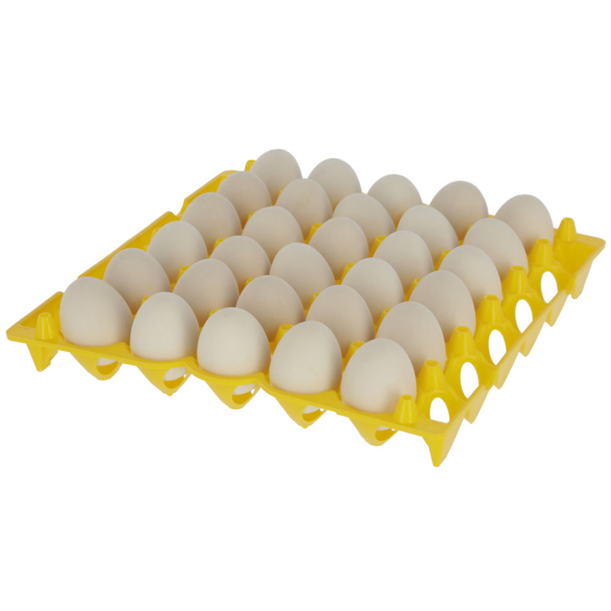 Cofraj ouă