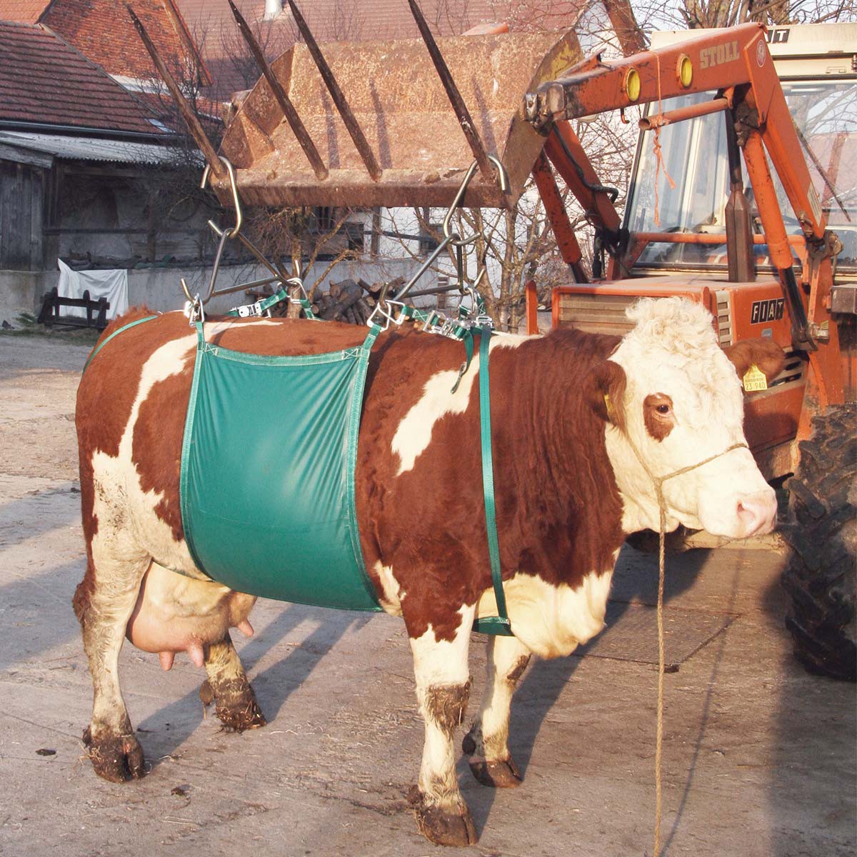 Kerbl dispozitiv de ridicare a vacilor de până la 1000 kg