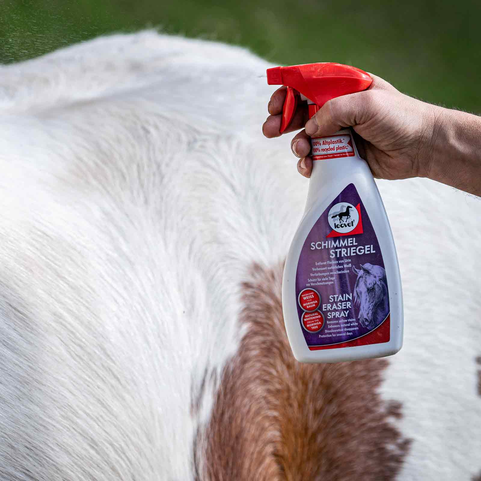 Leovet spray de curățare cai 550 ml