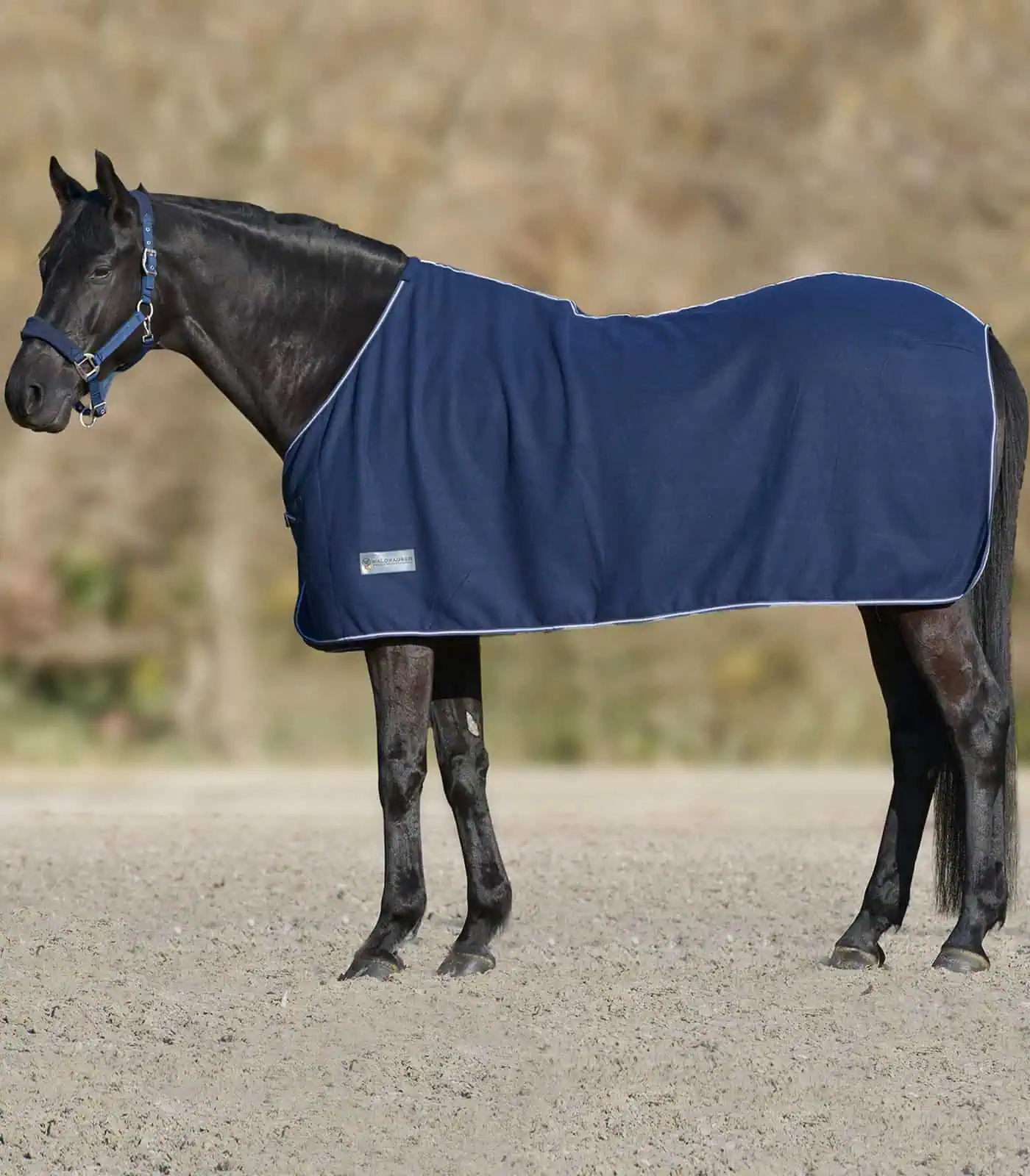 ECONOMIC Fleece Rug night blue 135