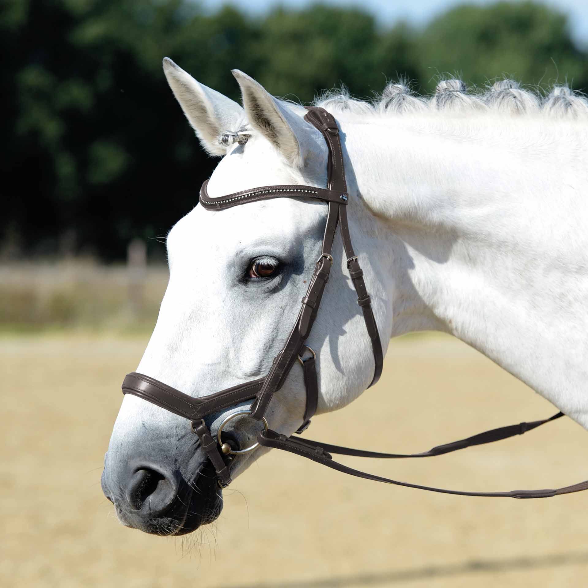 BUSSE FEELING Snaffle FULL maro