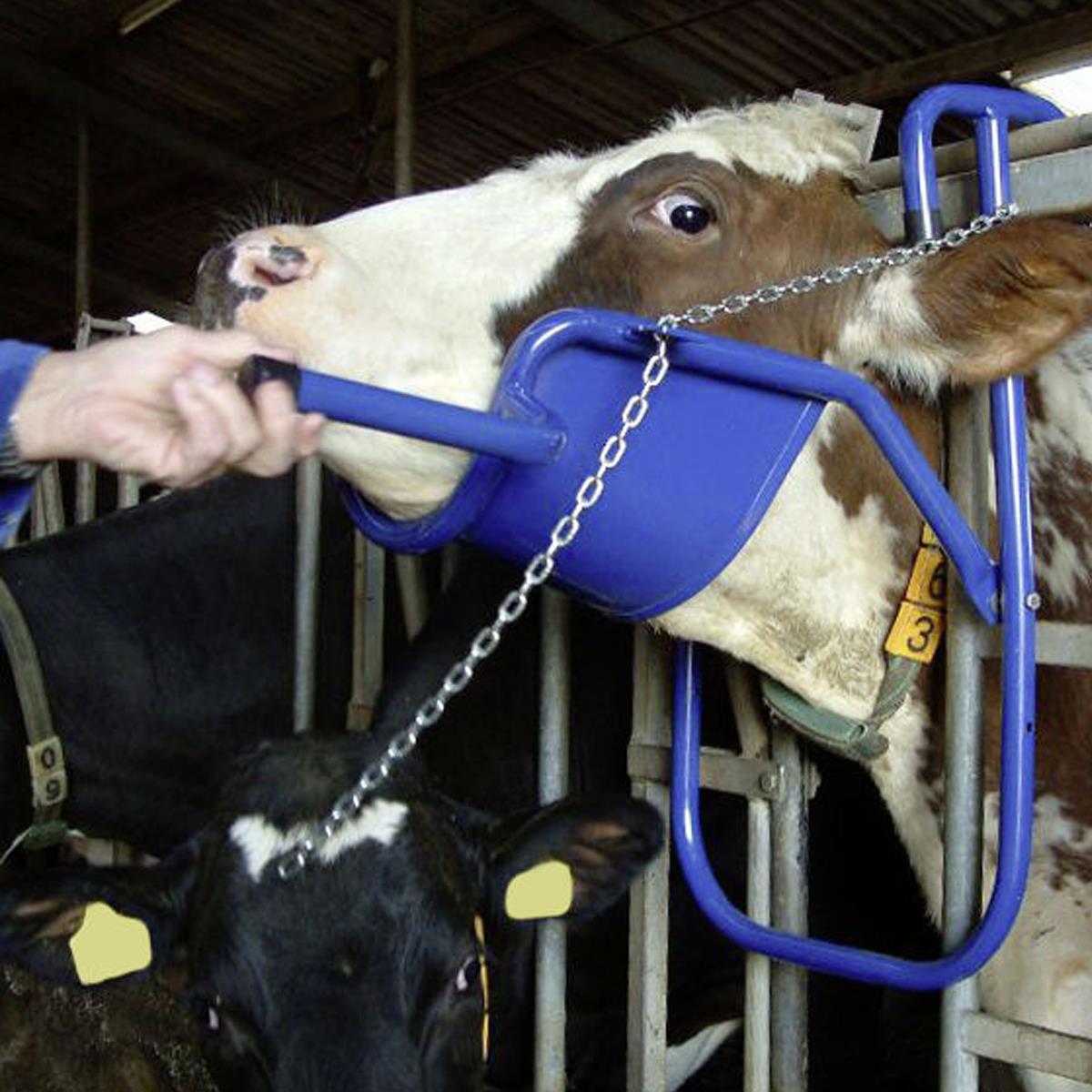 Tetiera suport de cap pentru vaci / bovine