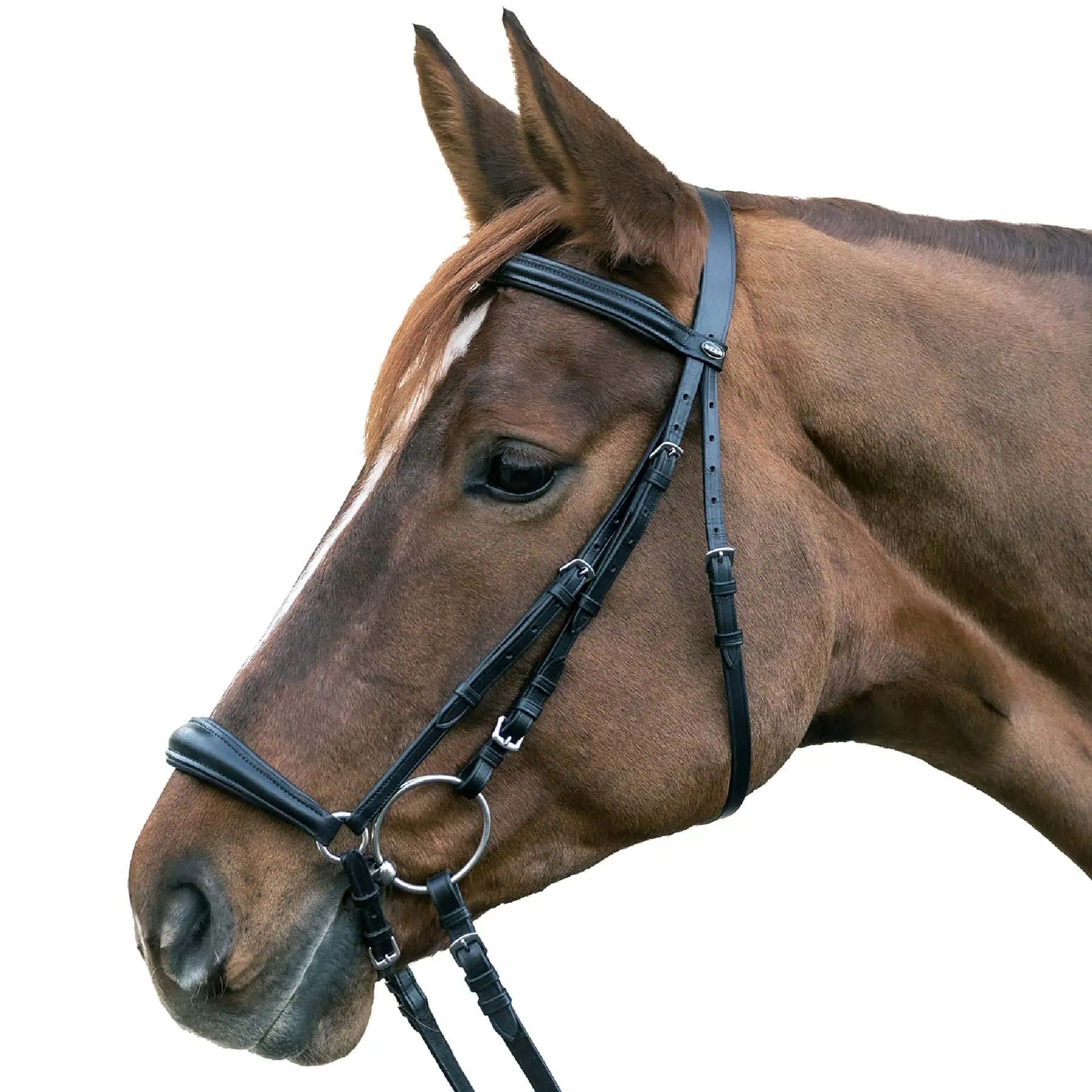 STAR Bridle Hannover black Pony