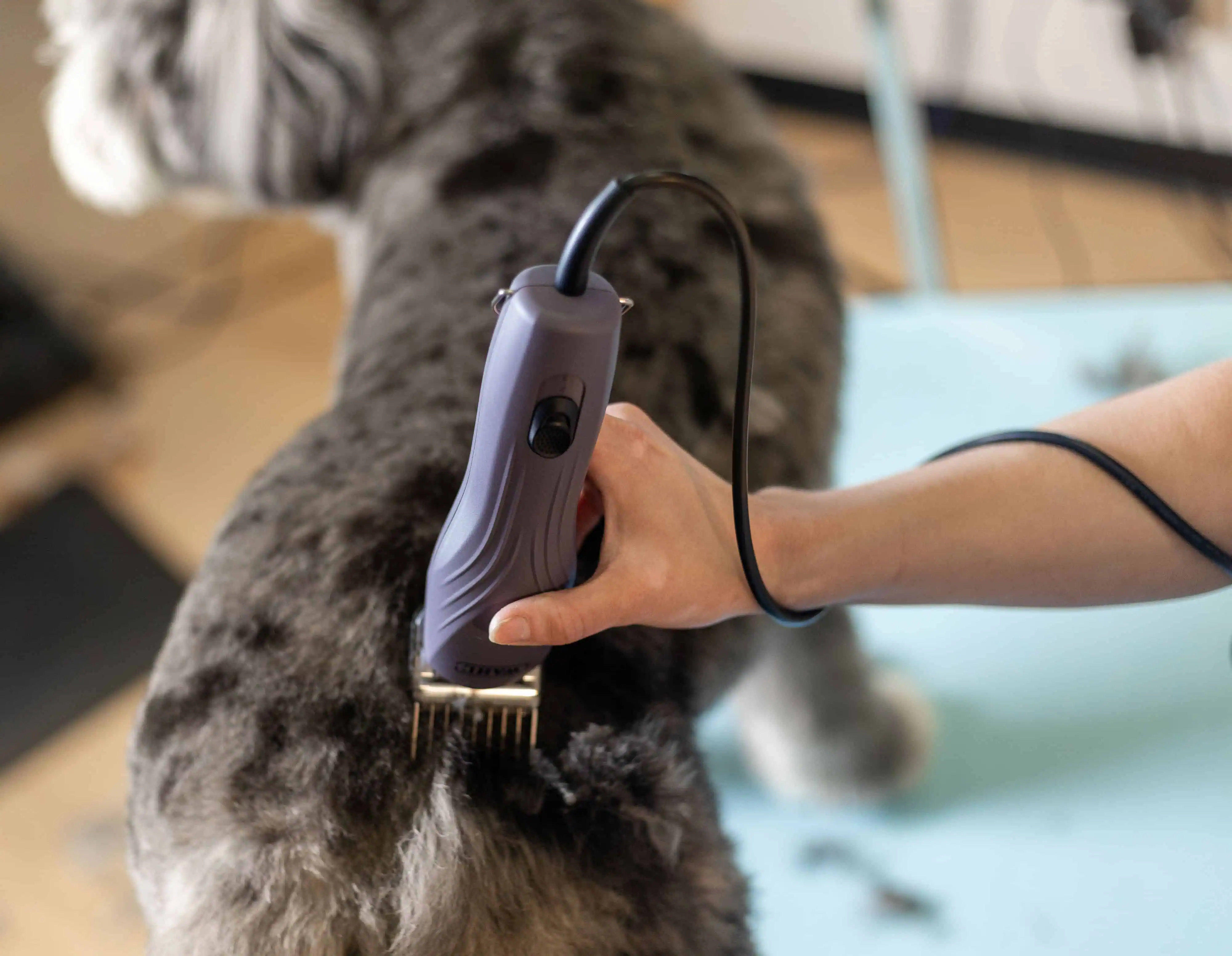 Flexibility with Generous Cord Length