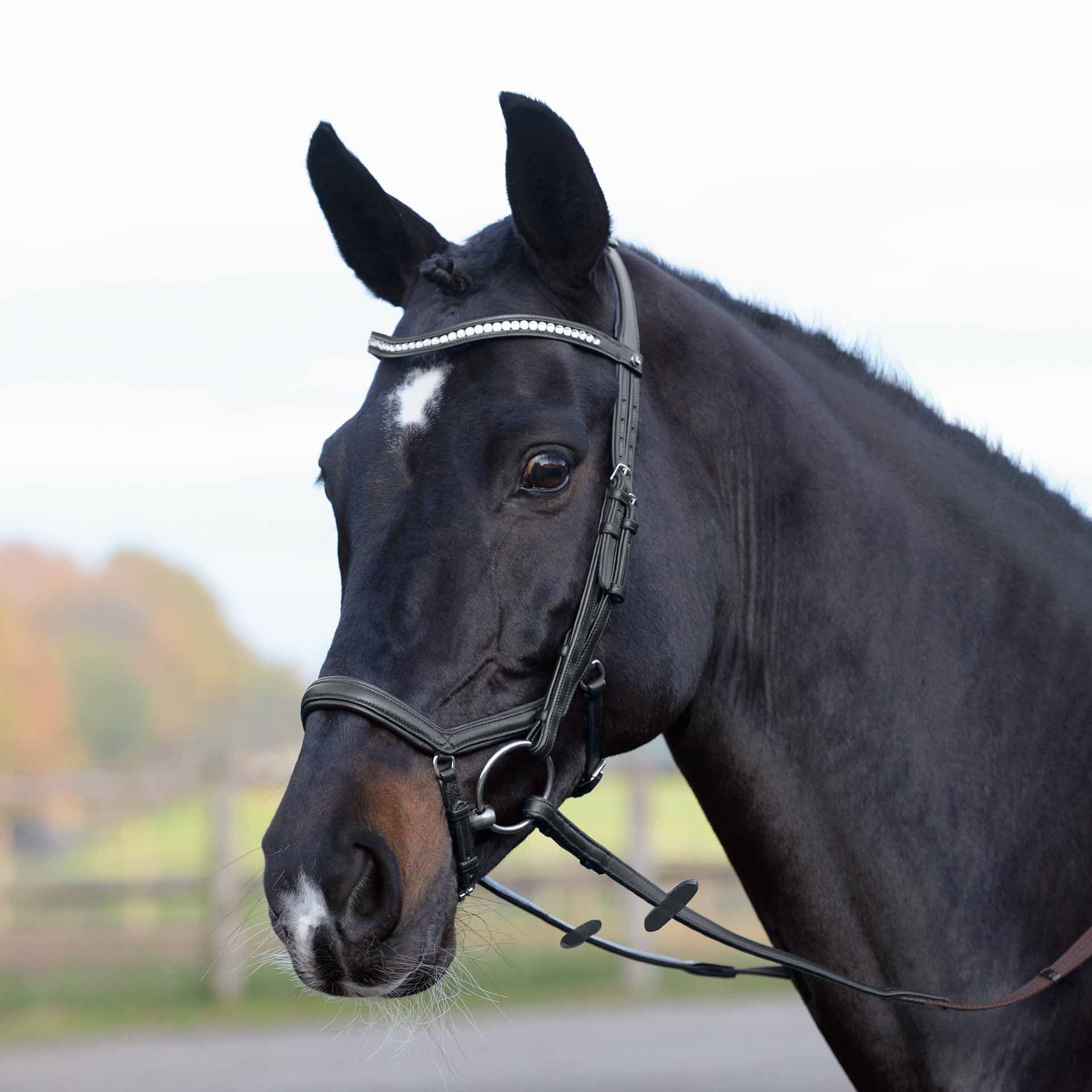 BUSSE Snaffle EMOTION COB negru