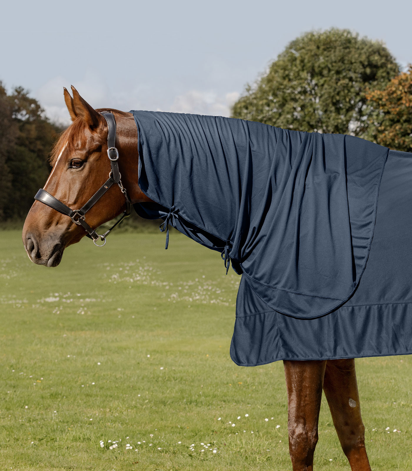 Waldhausen W-Health & Care Ice Layer Neckpiece, midnight blue, COB Waldhausen W-Health & Care Ice Layer Neckpiece, midnight blue, COB